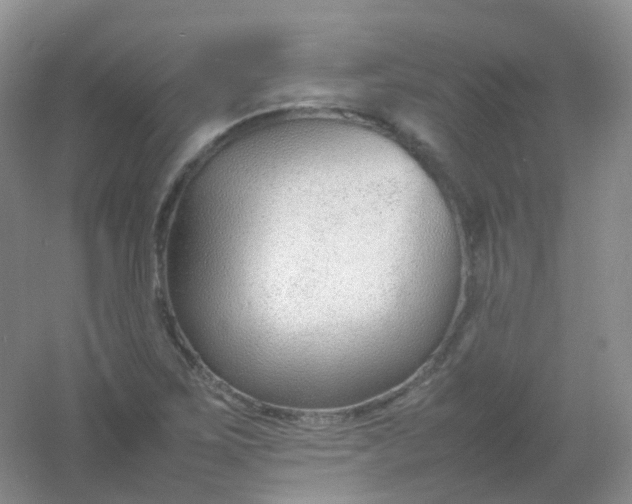 X0000054331267200508111909.png