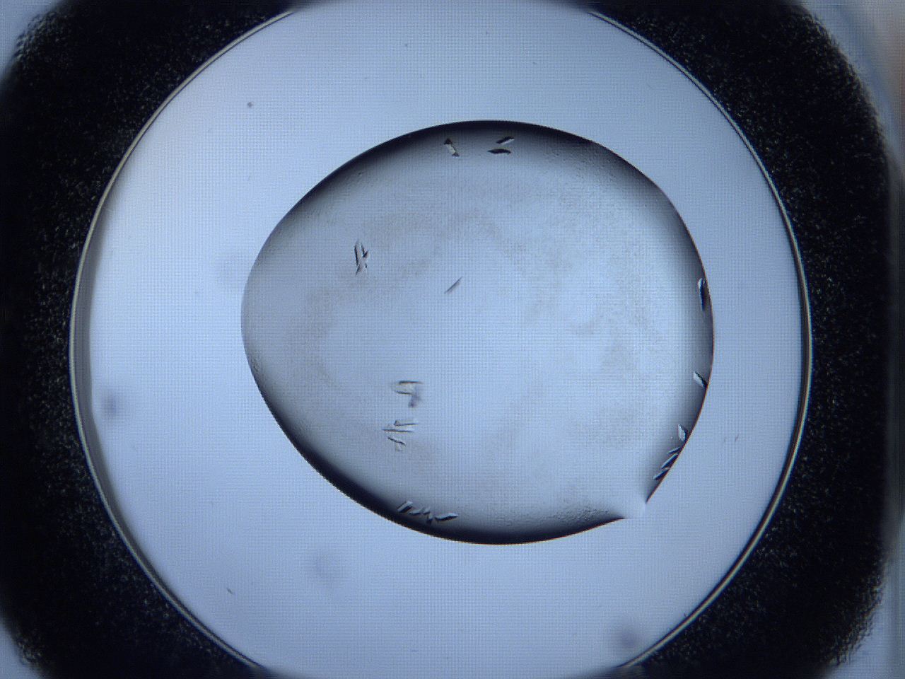 05fh_C9_ImagerDefaults_8.jpg