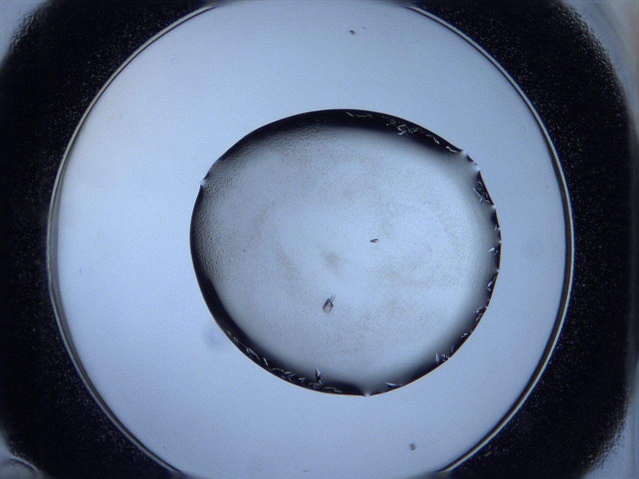 05fh_C10_ImagerDefaults_6.jpg