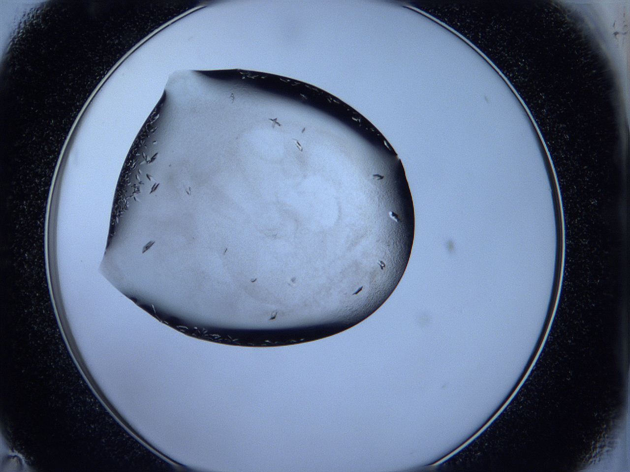 05fh_C11_ImagerDefaults_6.jpg