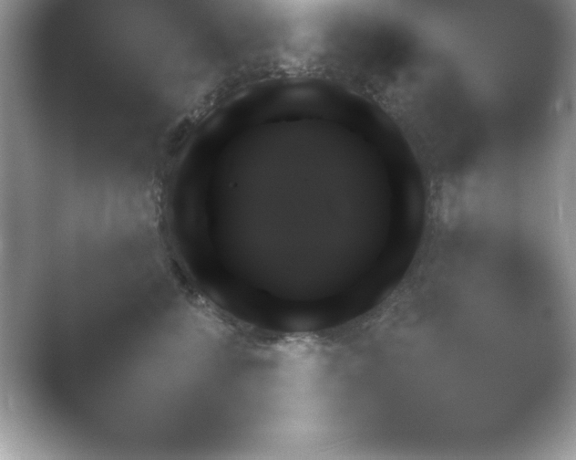 X0000054730712200508171852.png