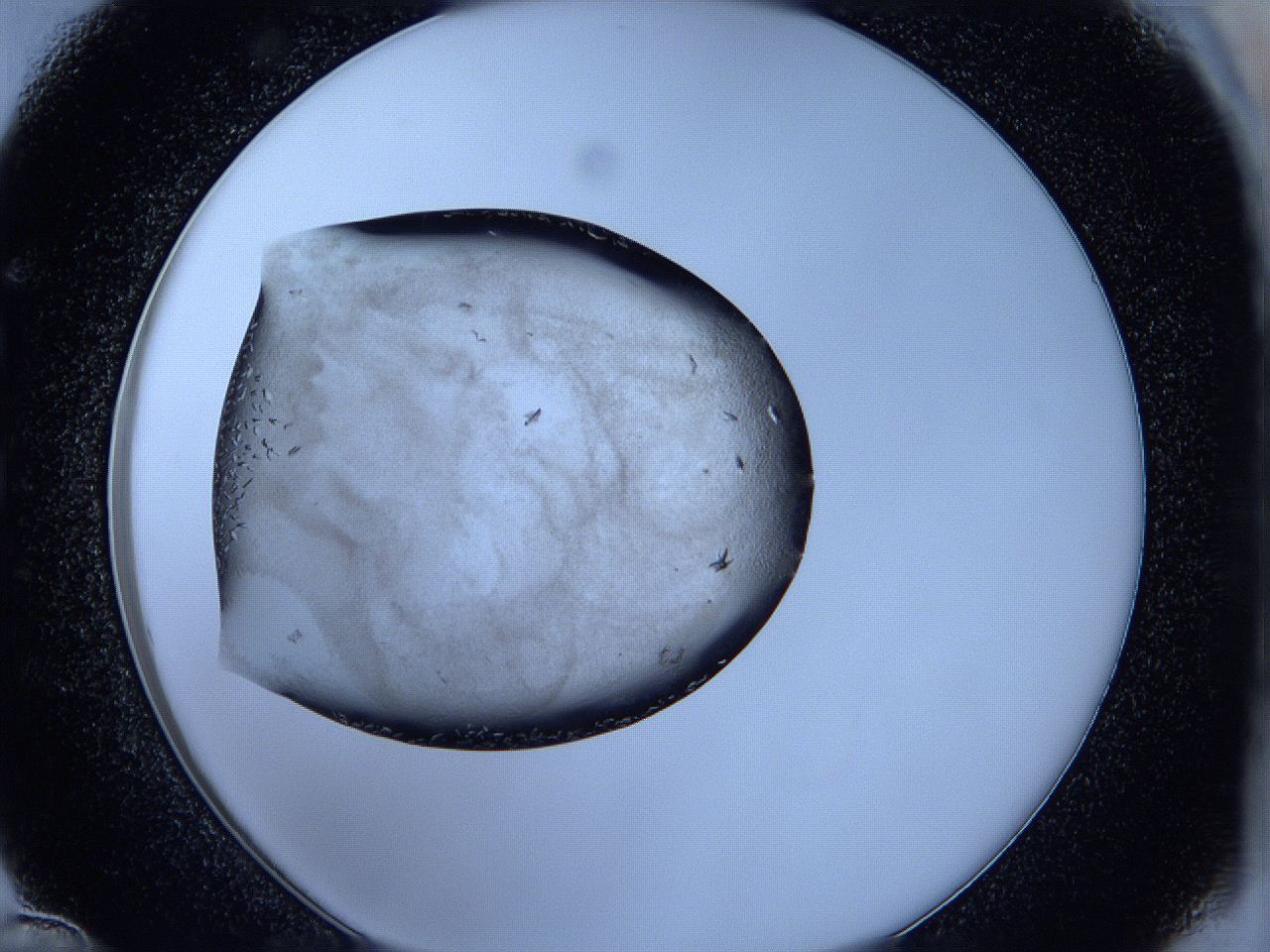 05fh_C12_ImagerDefaults_6.jpg