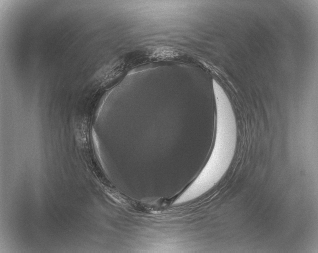X0000054350517200508190131.png