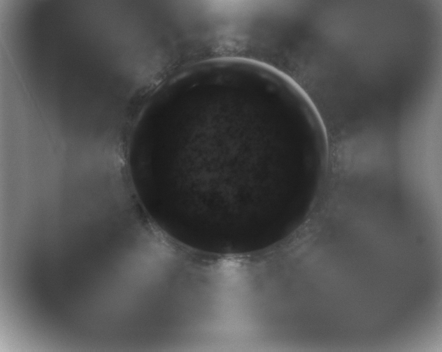 X0000054730323200508171858.png