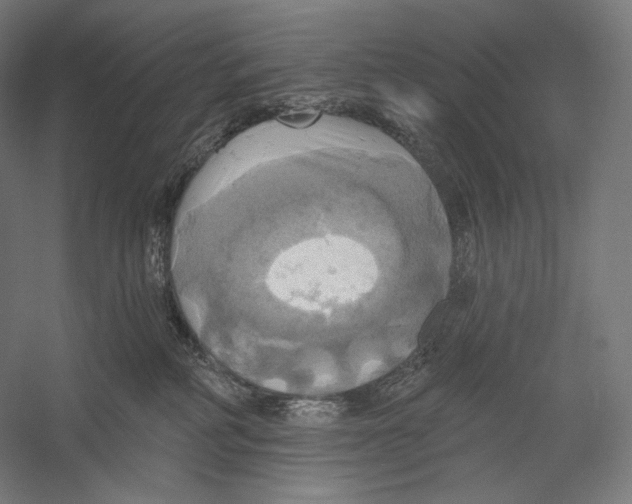 X0000055250234200509071624.png