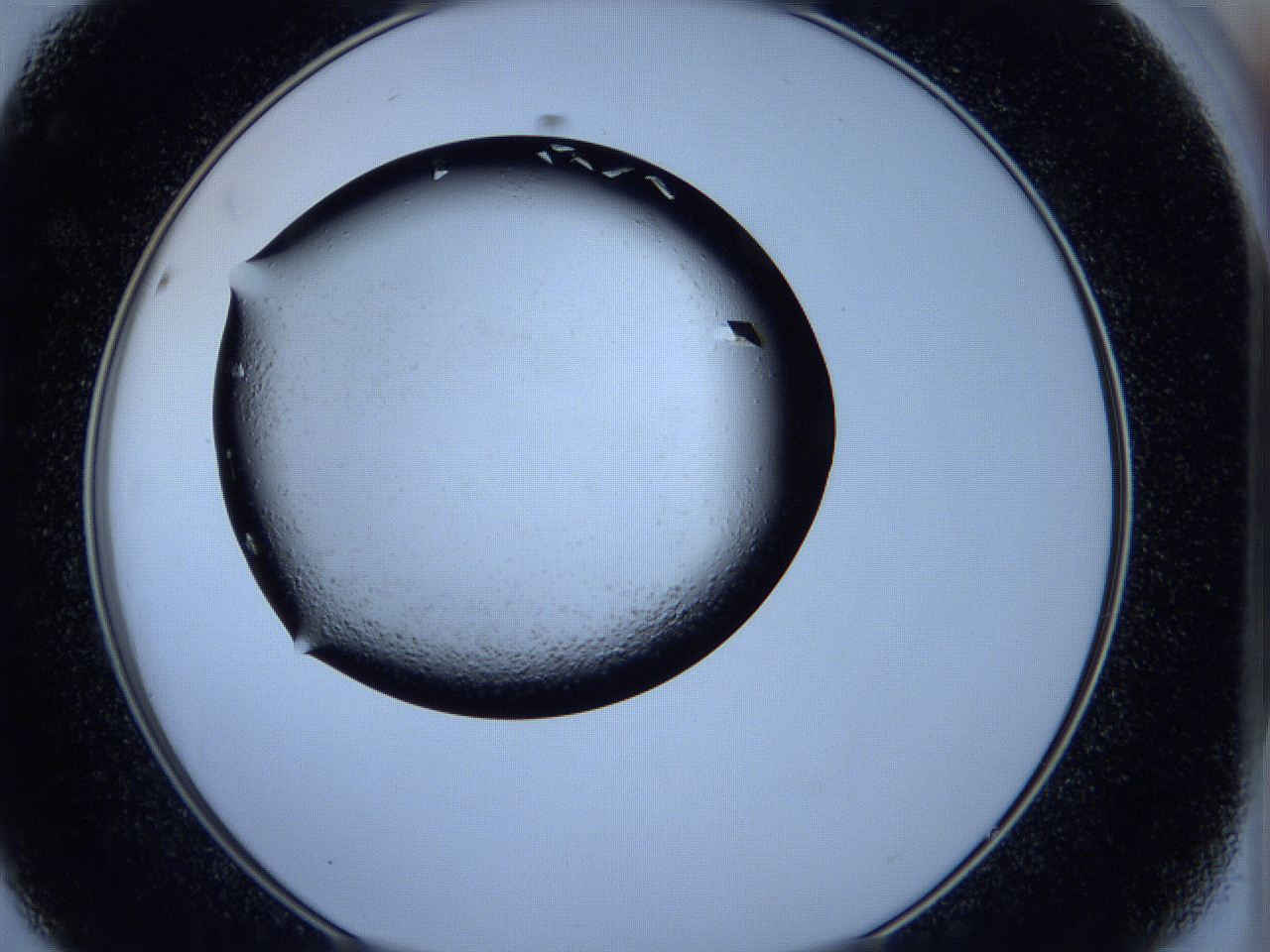 05fh_D8_ImagerDefaults_9.jpg