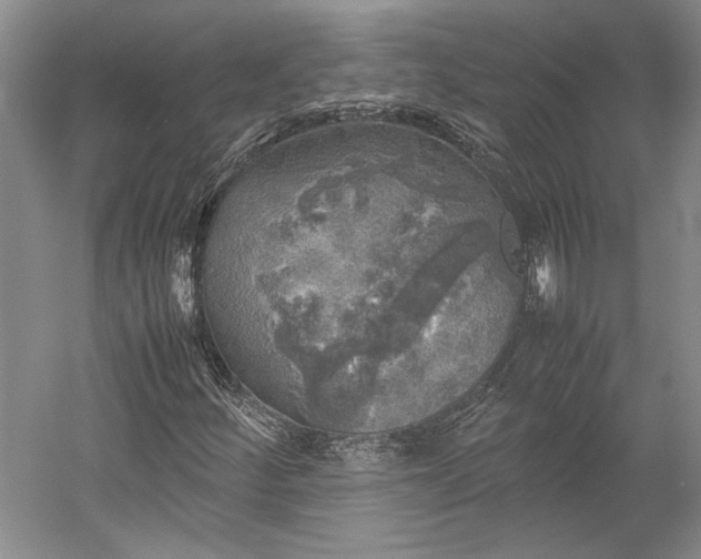 X0000055061252200508161636.png