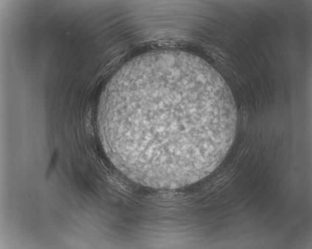 X0000055251060200509071609.png