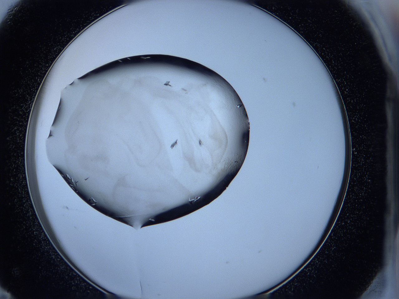 05fh_F11_ImagerDefaults_6.jpg