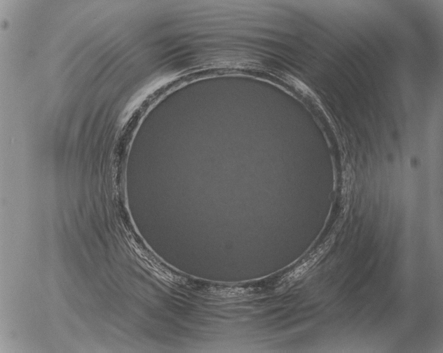 X0000054171019200508101754.png