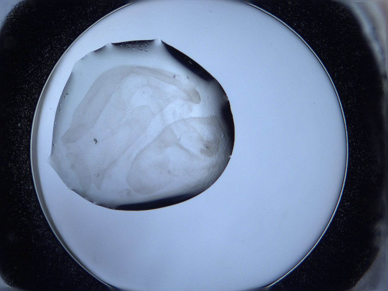 05fh_F12_ImagerDefaults_6.jpg