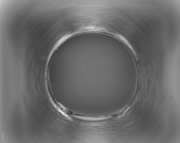 X0000054351381200508190117.png