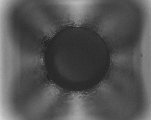 X0000038680818200409281320.png