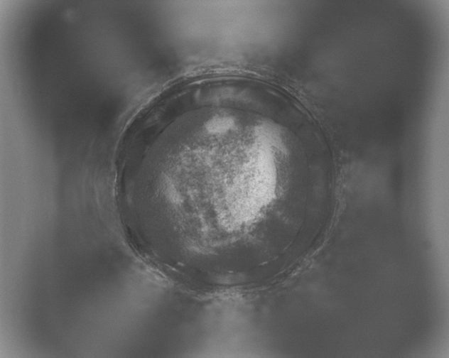 X0000052150194200507052000.png