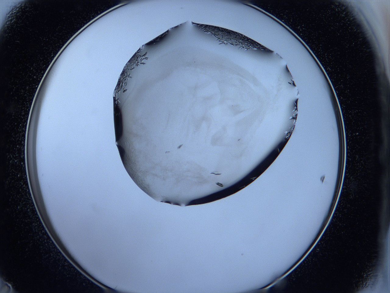 05fh_D11_ImagerDefaults_6.jpg