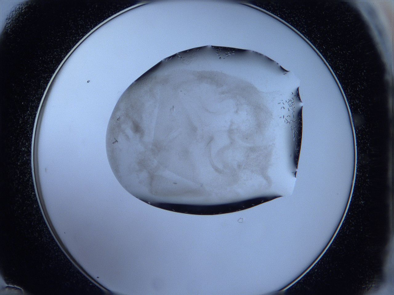 05fh_D12_ImagerDefaults_6.jpg