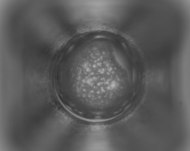 X0000052280825200507132026.png