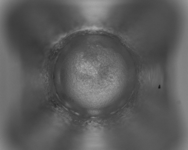 X0000052281398200507132016.png