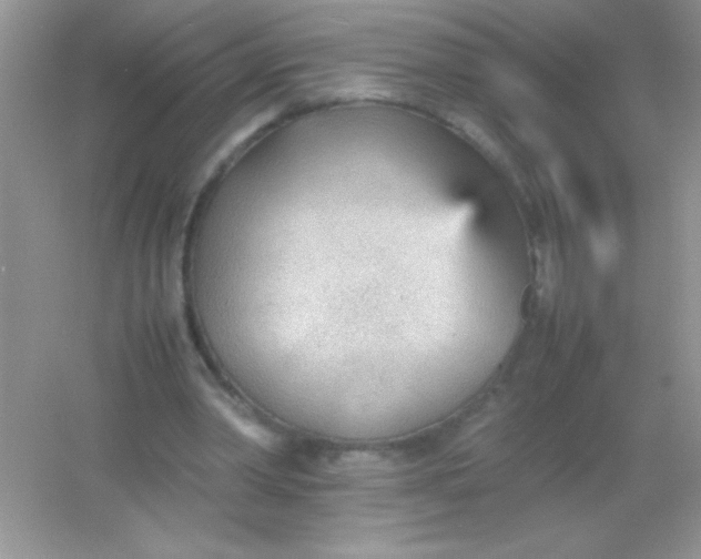 X0000054330390200508111924.png