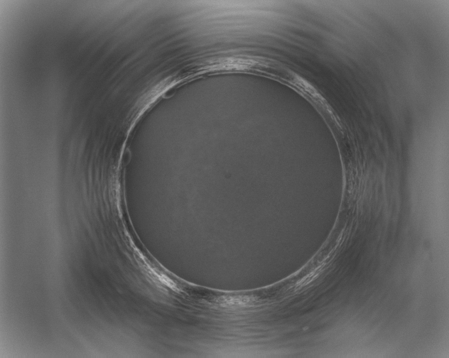 X0000055060802200508161644.png