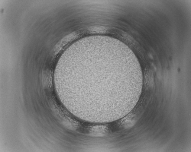 X0000054580168200508300110.png
