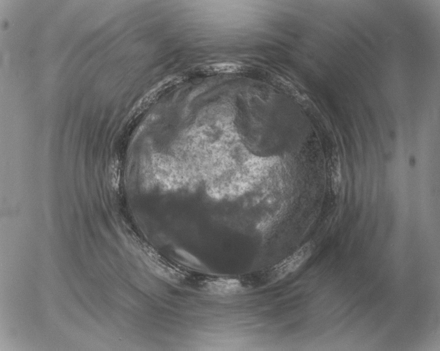 X0000054170374200508101805.png