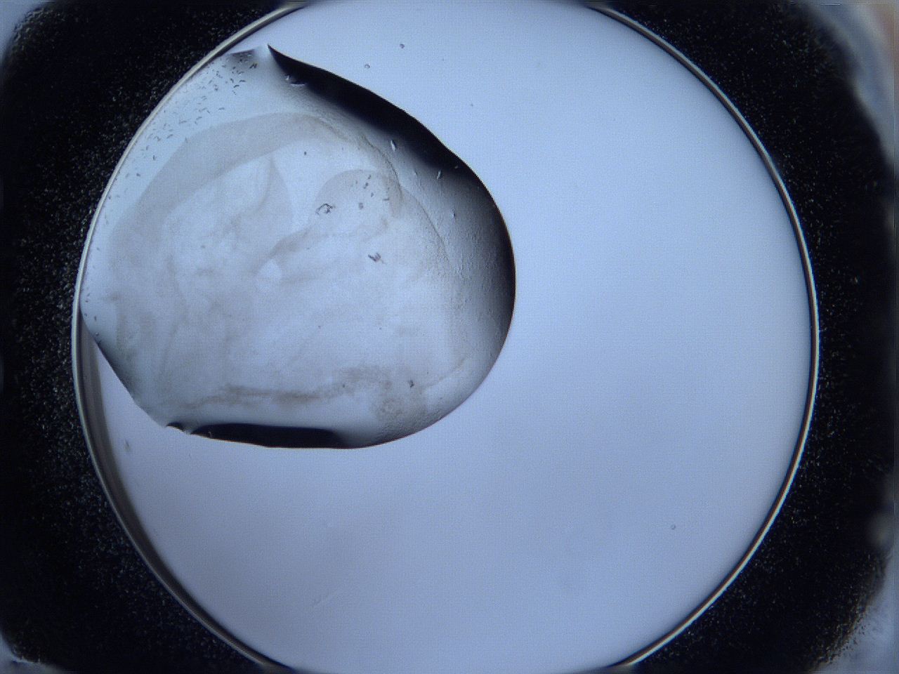 05fh_E12_ImagerDefaults_6.jpg