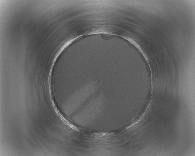 X0000054350949200508190125.png