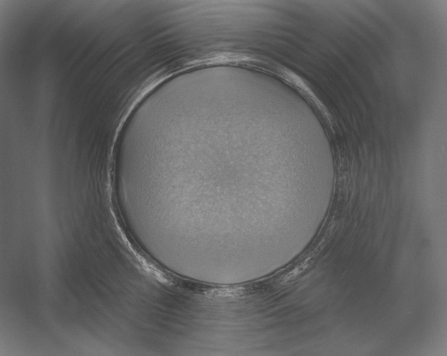 X0000055250810200509071614.png