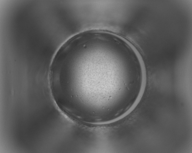 X0000054111092200508022052.png