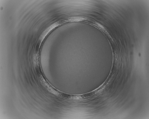 X0000054171186200508101752.png