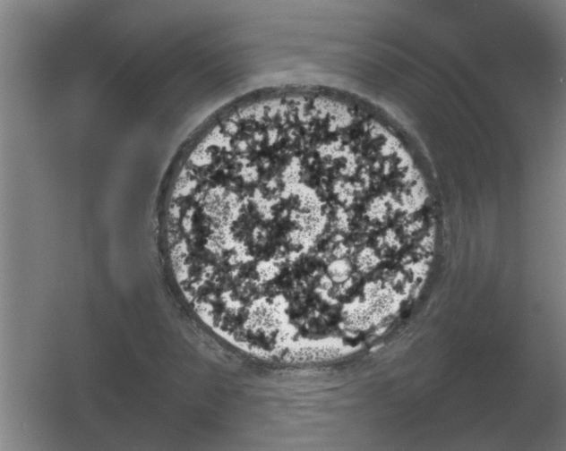 X0000053460879200508112154.png
