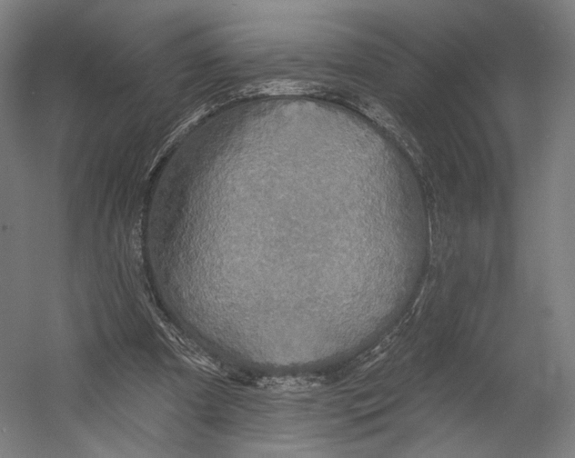 X0000055210297200508301329.png