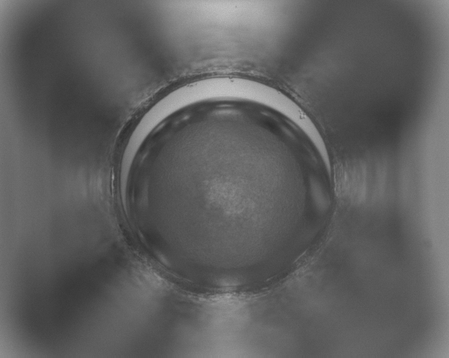 X0000052150301200507051958.png