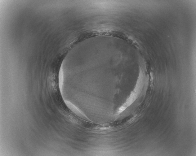 X0000054351156200508190121.png