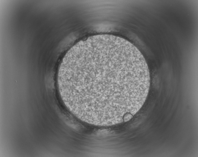 X0000053460635200508112158.png
