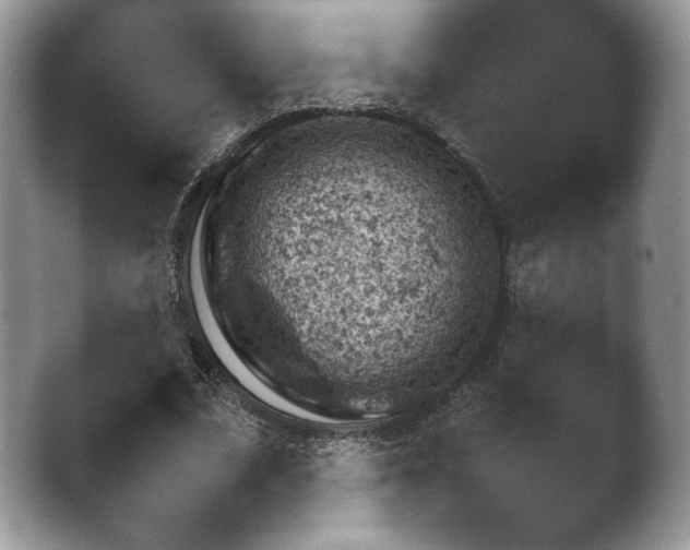 X0000042500679200411221313.png