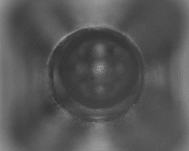 X0000054110975200508022054.png
