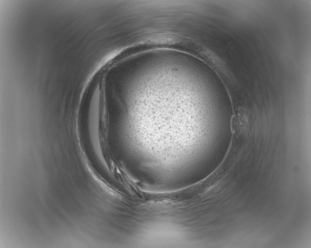X0000054300726200508042309.png