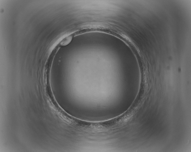 X0000054650983200508091637.png