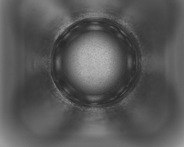 X0000038921033200409291000.png