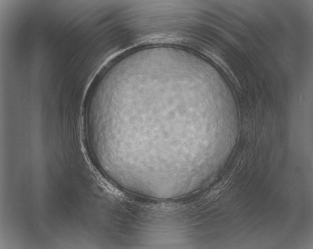 X0000055250992200509071611.png