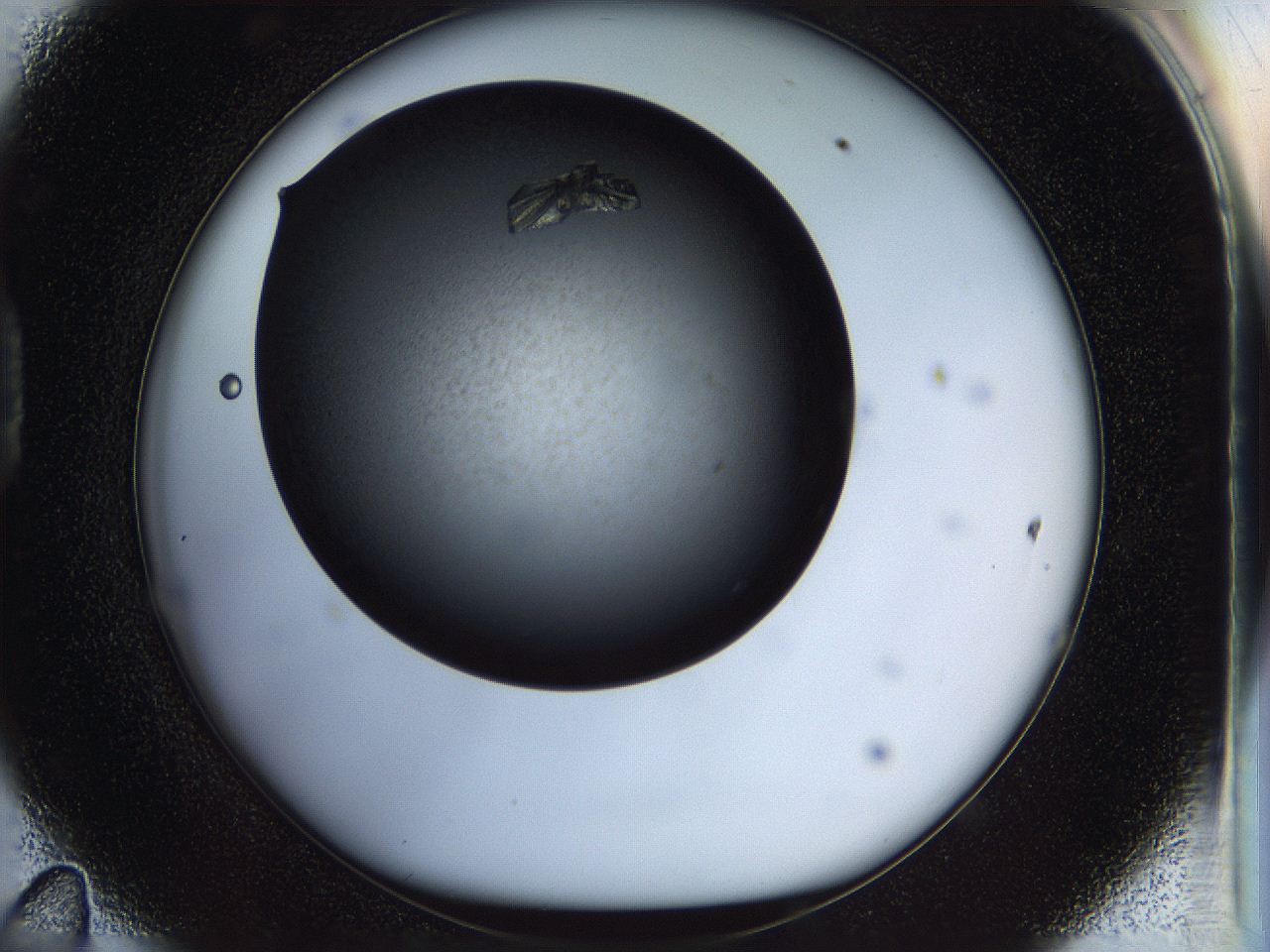 05fm_D11_ImagerDefaults_9.jpg