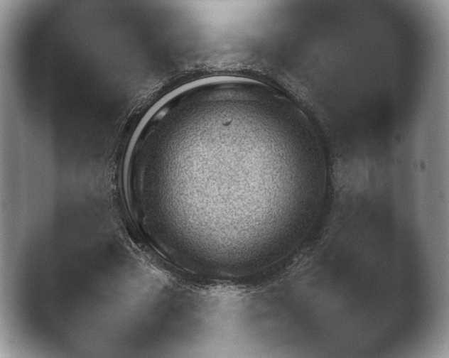 X0000042500537200411221315.png