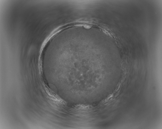 X0000055060343200508161651.png