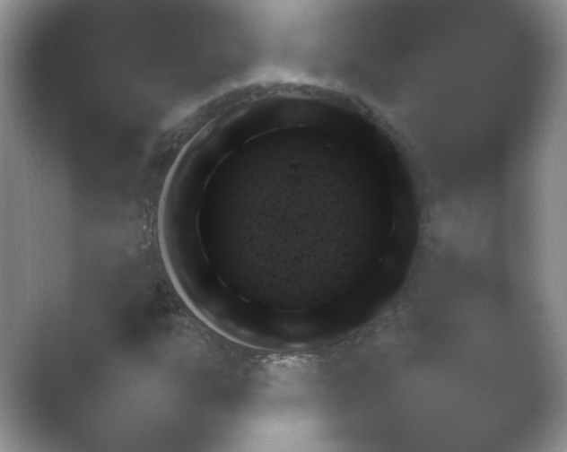 X0000054731303200508171841.png