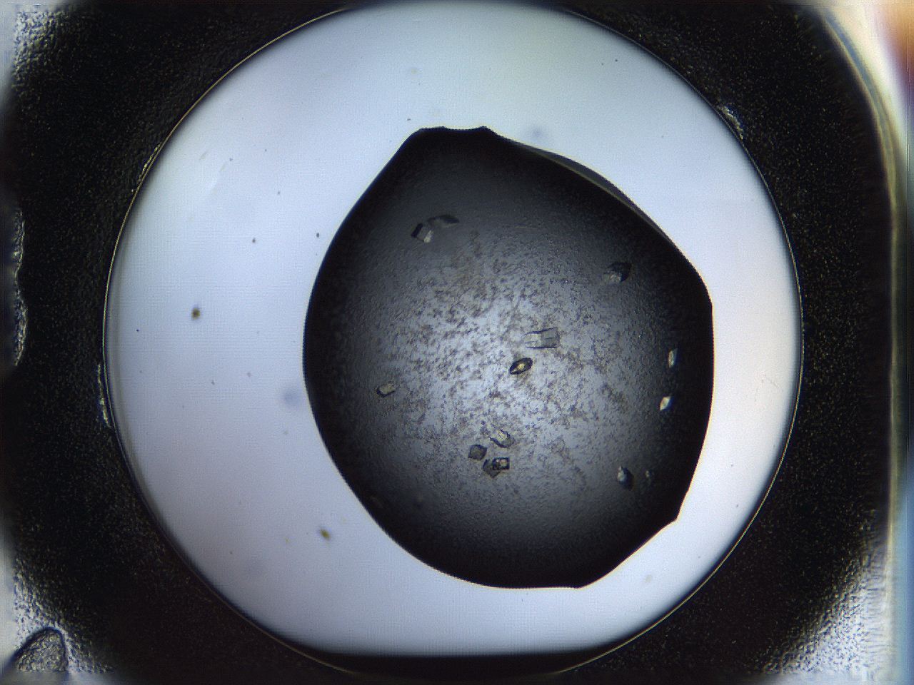 05fm_B11_ImagerDefaults_9.jpg