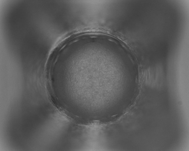 X0000052150198200507052000.png