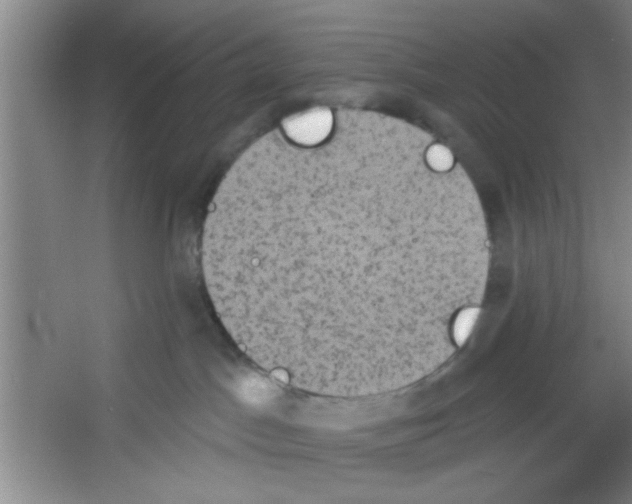 X0000053460045200508112209.png