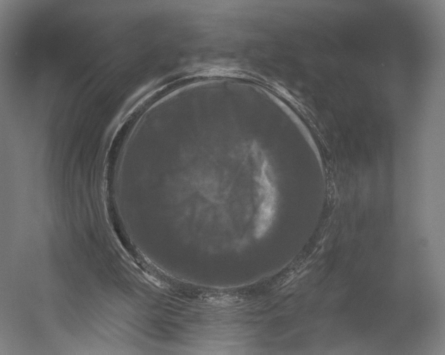 X0000055210199200508301330.png